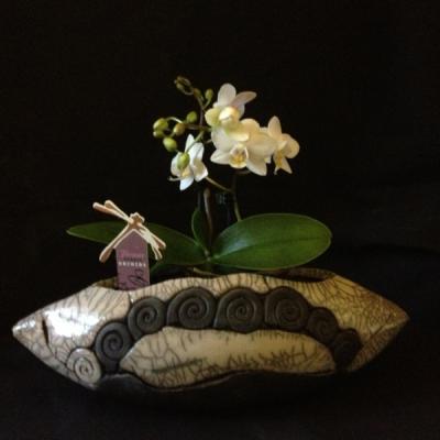 Konisch Mit Orchidee